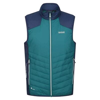 Gilet Imbottito Leggera Uomo Regatta Halton VI Kiwi Brillante Nero
