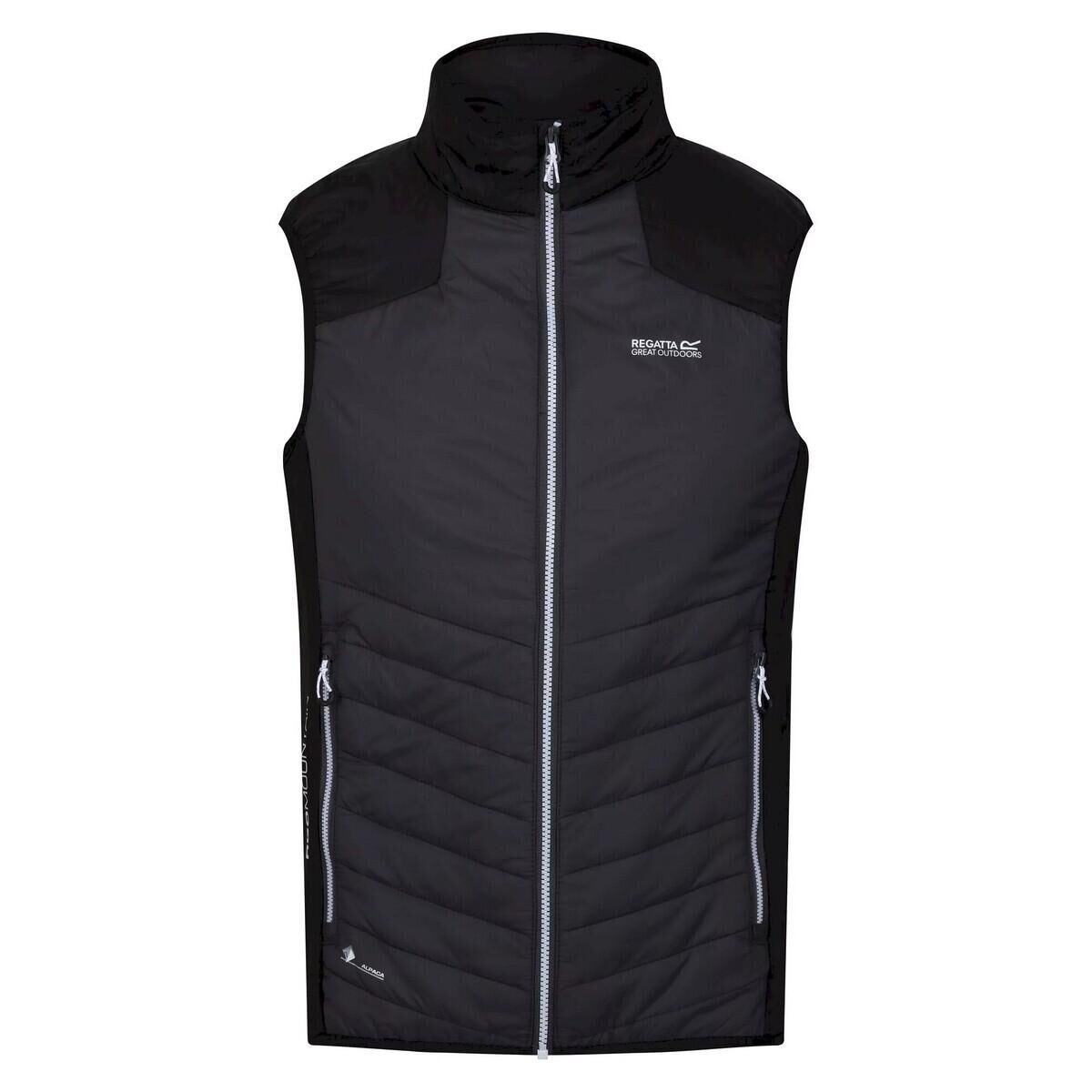 REGATTA Mens Halton VI Lightweight Body Warmer (Dark Grey/Black)