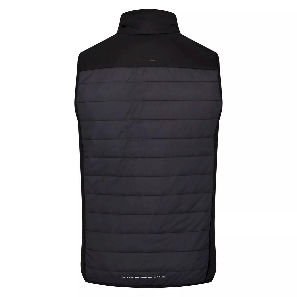 Mens Halton VI Lightweight Body Warmer (Dark Grey/Black) 2/5