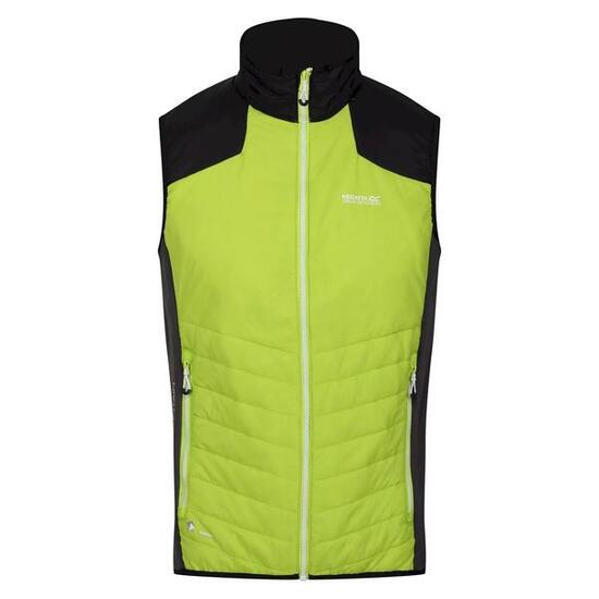 Gilet Imbottito Leggera Uomo Regatta Halton VI Kiwi Brillante Nero