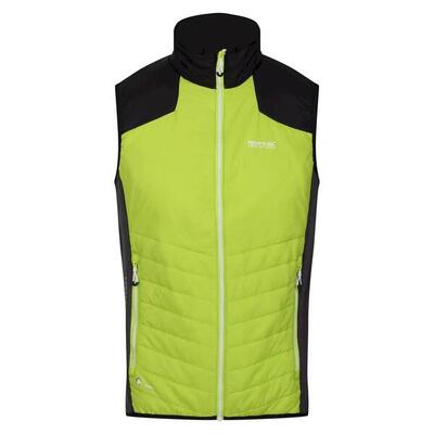 Gilet Imbottito Leggera Uomo Regatta Halton VI Kiwi Brillante Nero