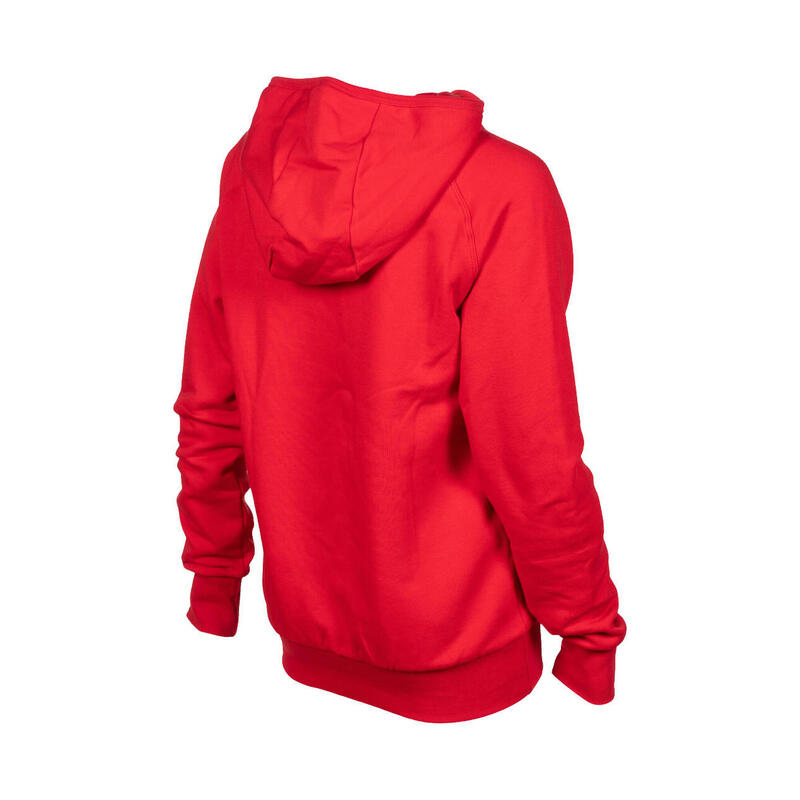 Hanorac sport Arena Junior Team Hooded Sweat Panel