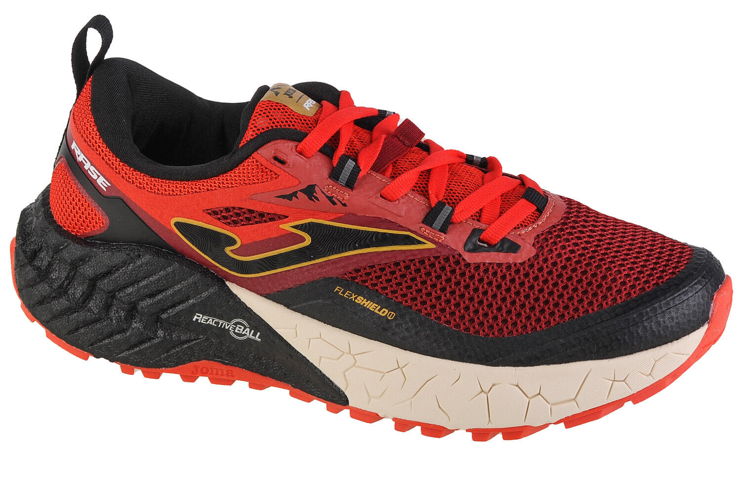 JOMA picture