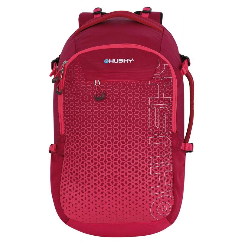 Rugzak Campus 30 liter - modern design - Roze