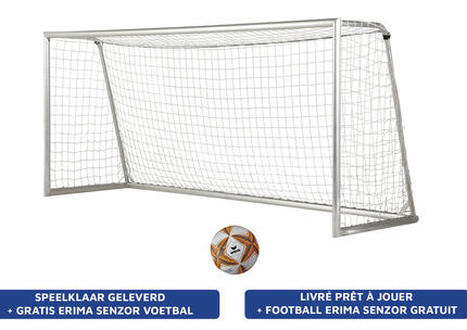 But de football professionel de 5x2m (aluminium) - prêt à jouer + Erima football