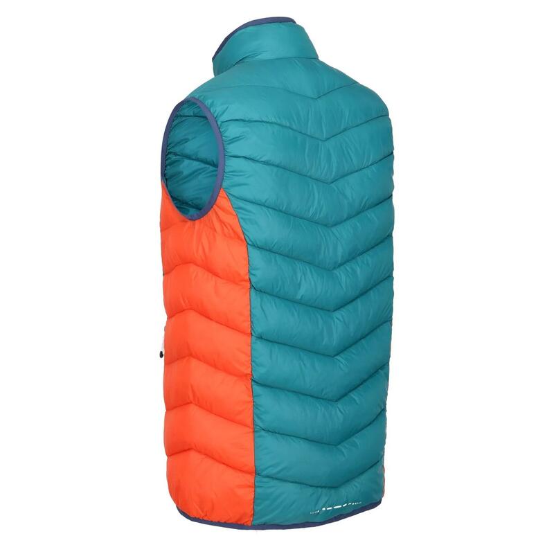 Heren Harrock Body Warmer (Pacific Groen/Admiraal Blauw)