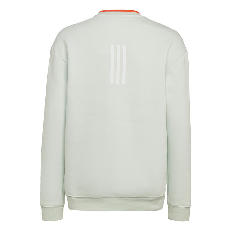 Sweat-shirt molleton All SZN
