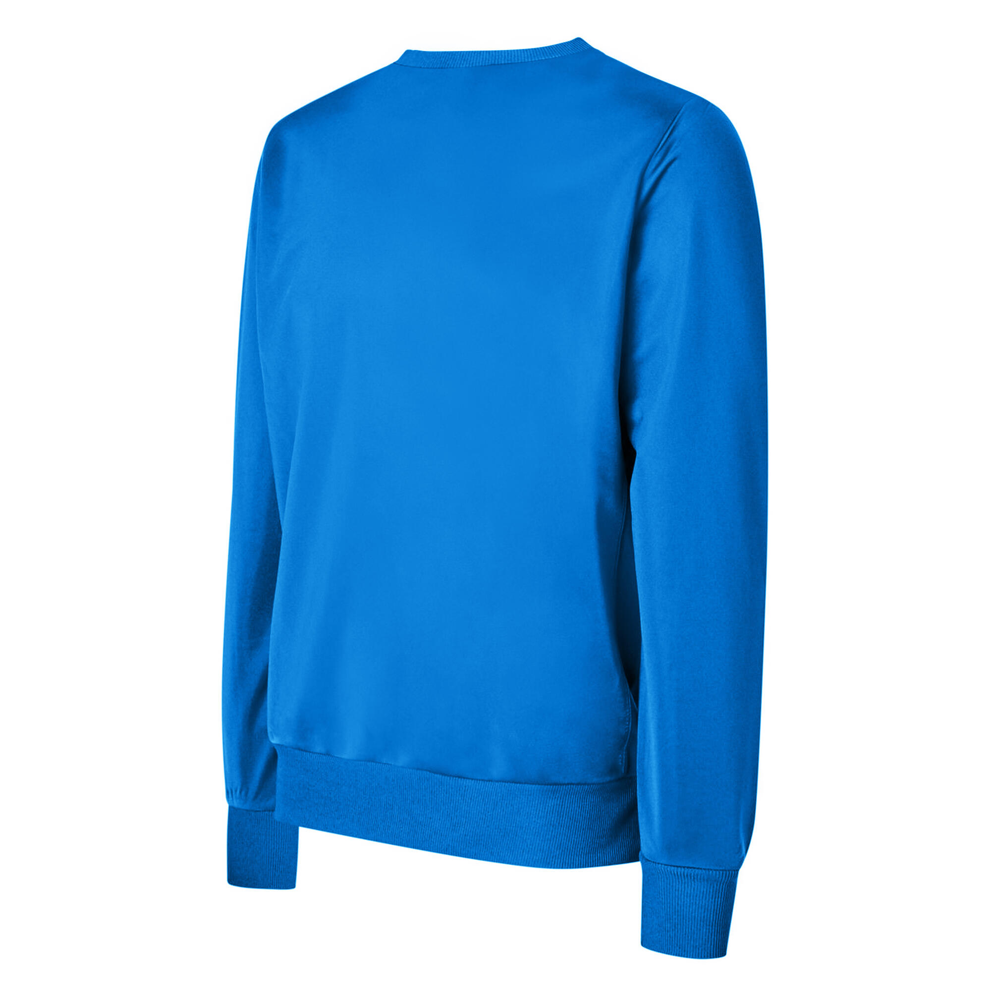 Mens Polyester Sweatshirt (Royal Blue) 2/2