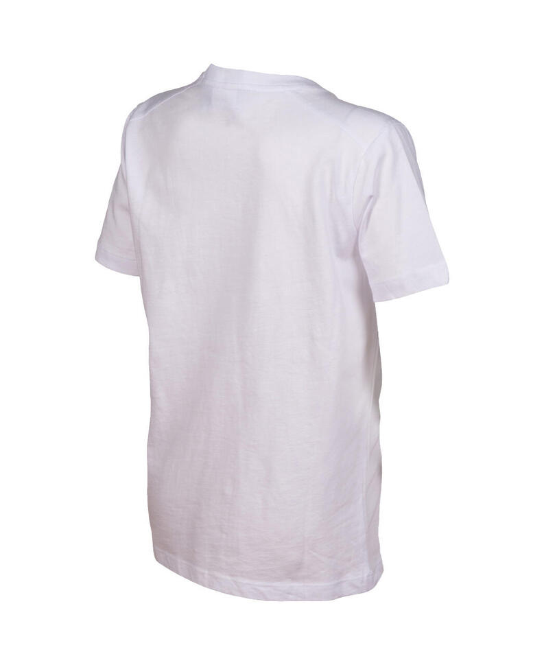 Koszulka sportowa Arena Team T-Shirt Panel junior