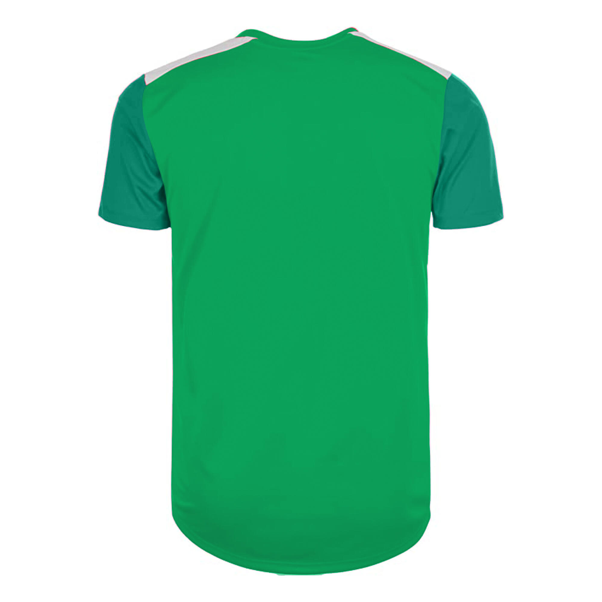 Boys Polyester Training Jersey (Emerald Green/Verdant Green/White) 2/3