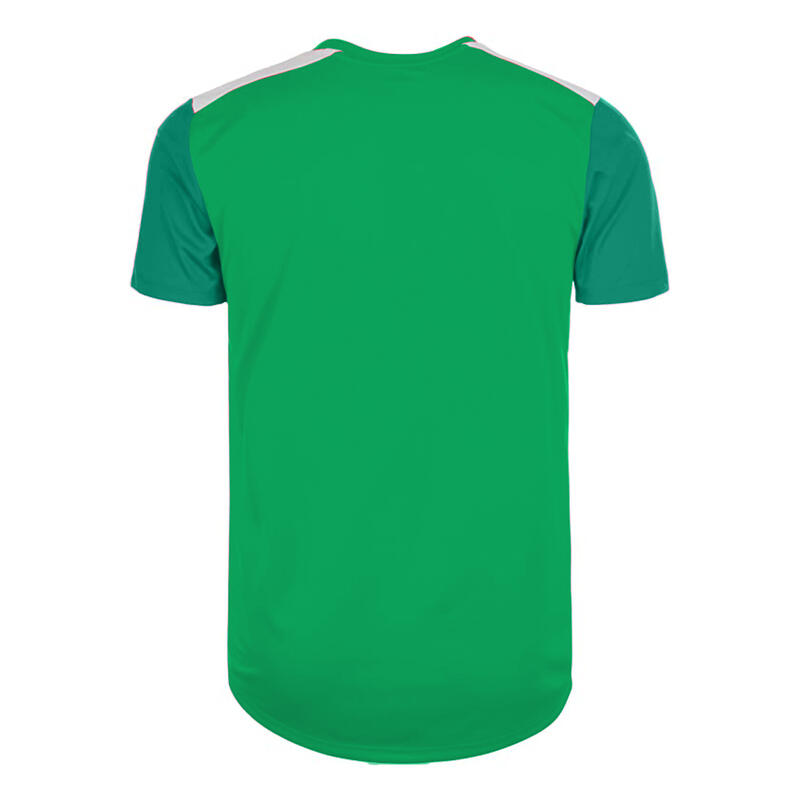 Trikot für Training Jungen Smaragdgrün/Verdant Grün/Weiß