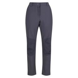 Pantalones de Senderismo Questra IV para Mujer Gris Seal