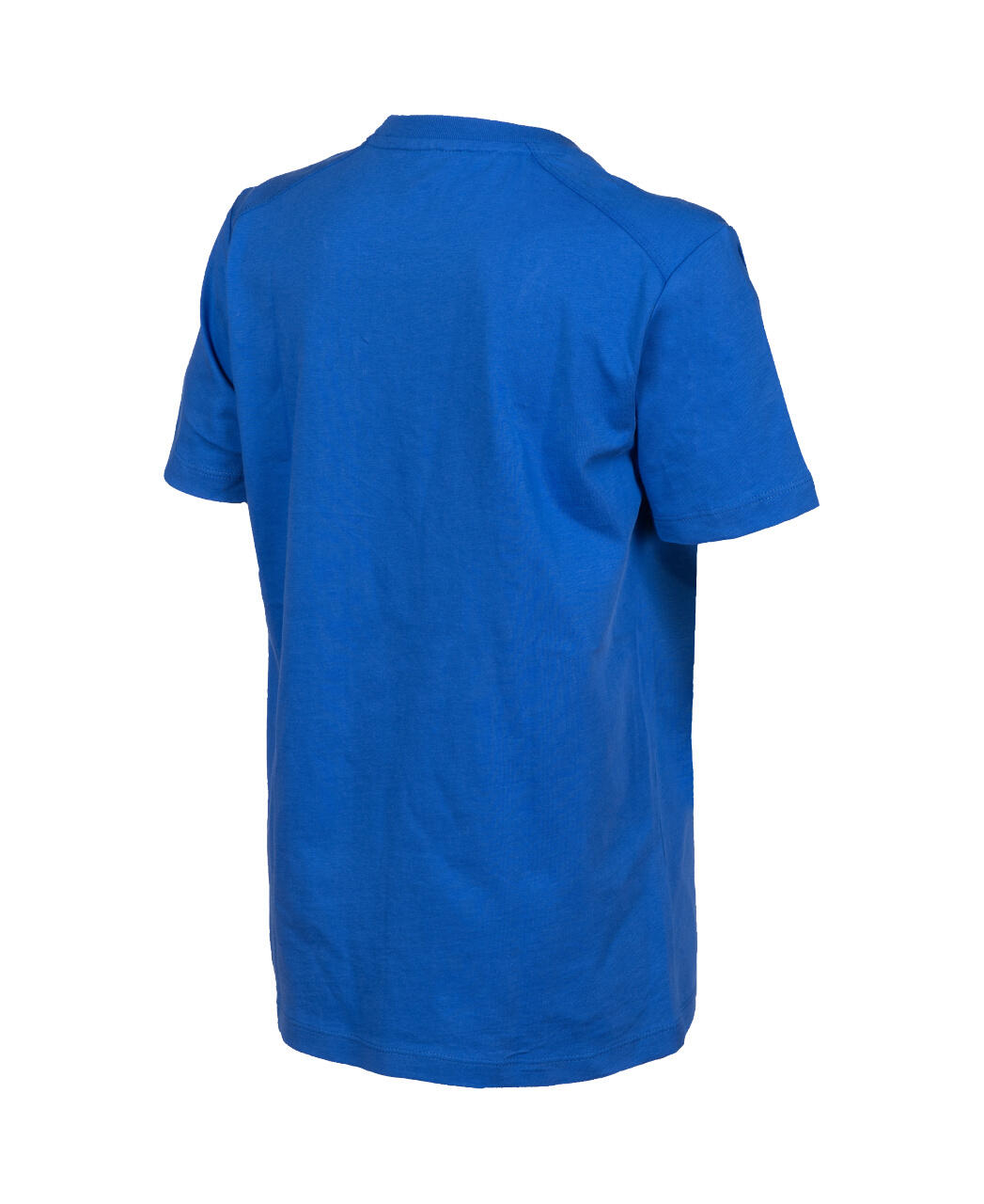Koszulka sportowa Arena Team T-Shirt Panel junior 4/7