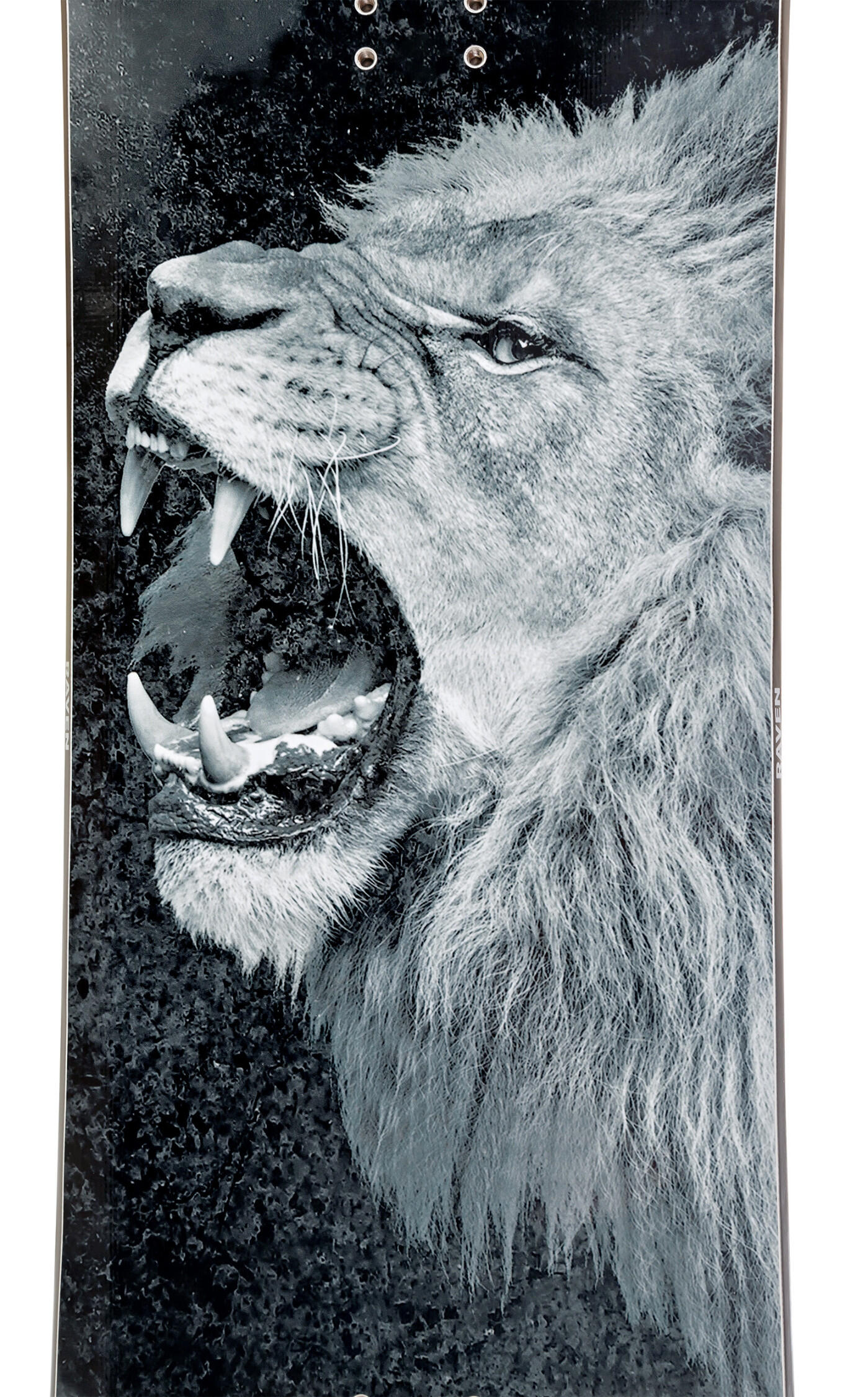 Snowboard Raven Lion 2/5