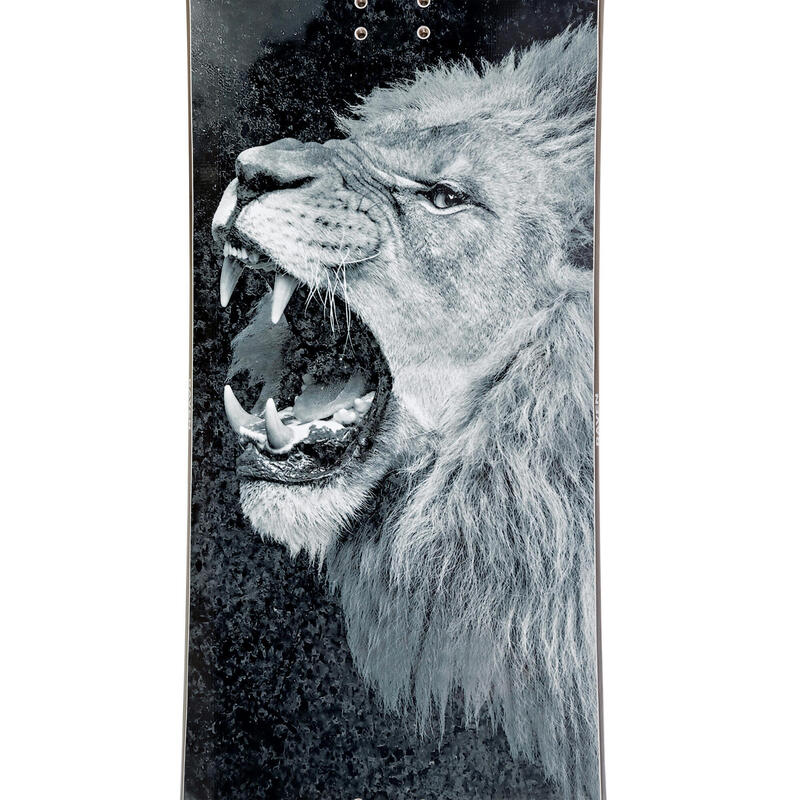Snowboard Raven Lion, Barbati