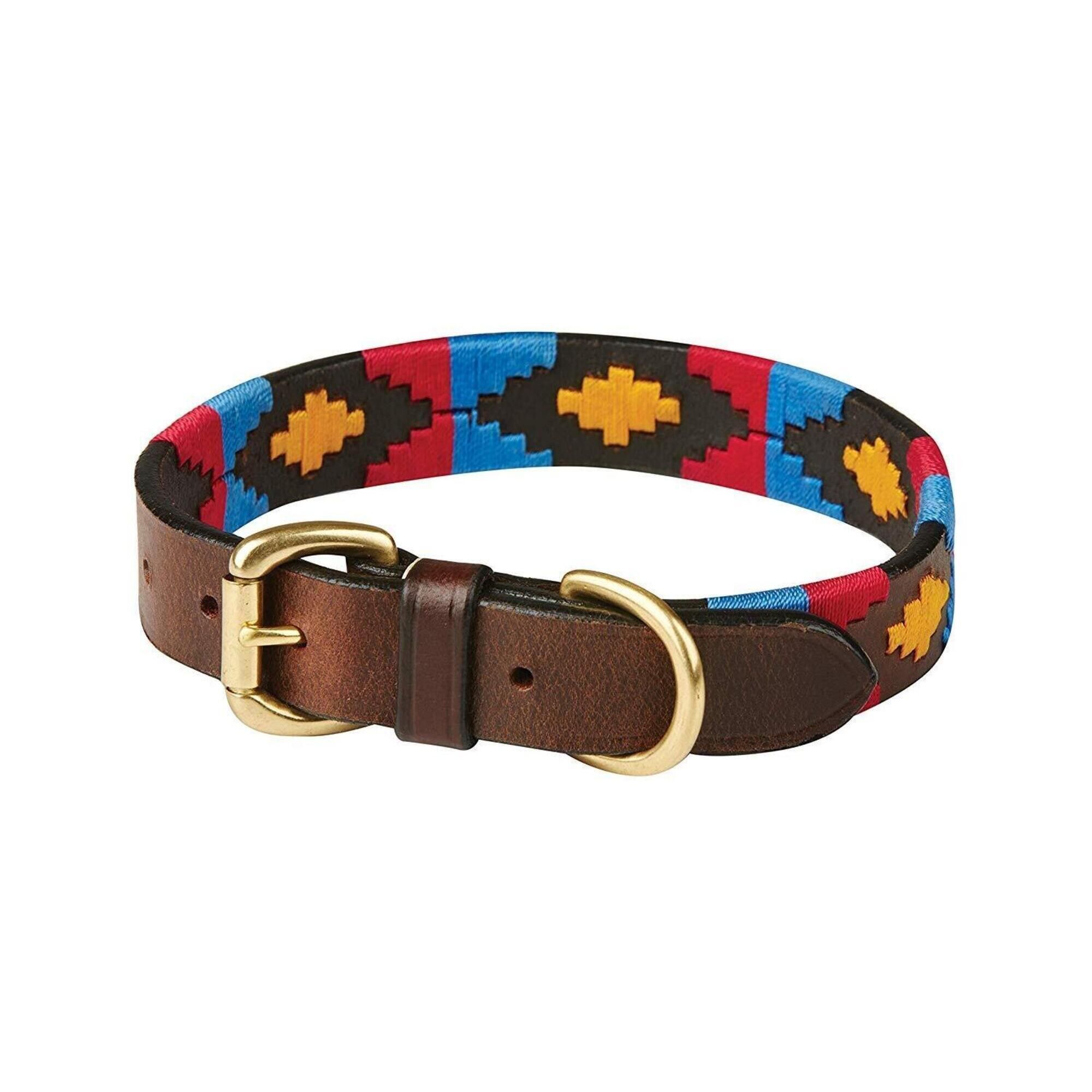 WEATHERBEETA Polo Leather Dog Collar (Cowdray Brown/Pink/Blue/Yellow)