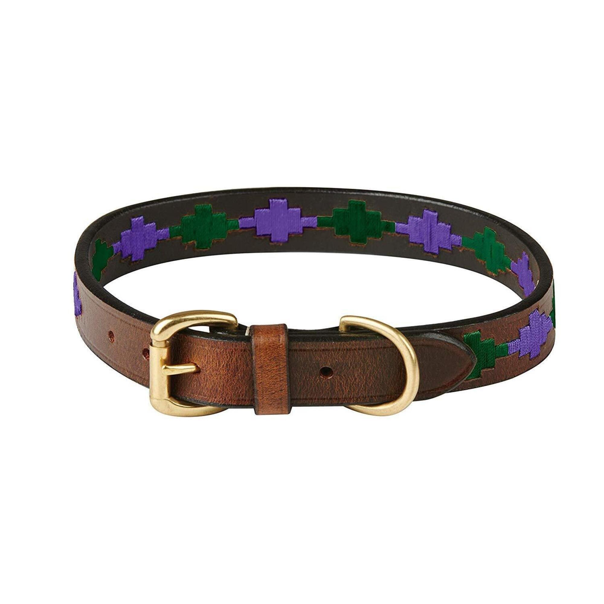 WEATHERBEETA Polo Leather Dog Collar (Beaufort Brown/Purple/Teal)