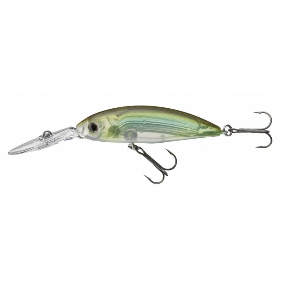 DAIWA picture