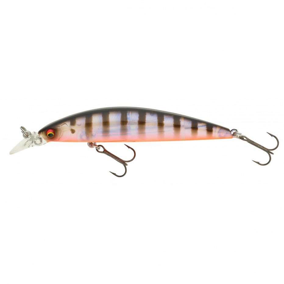 DAIWA picture