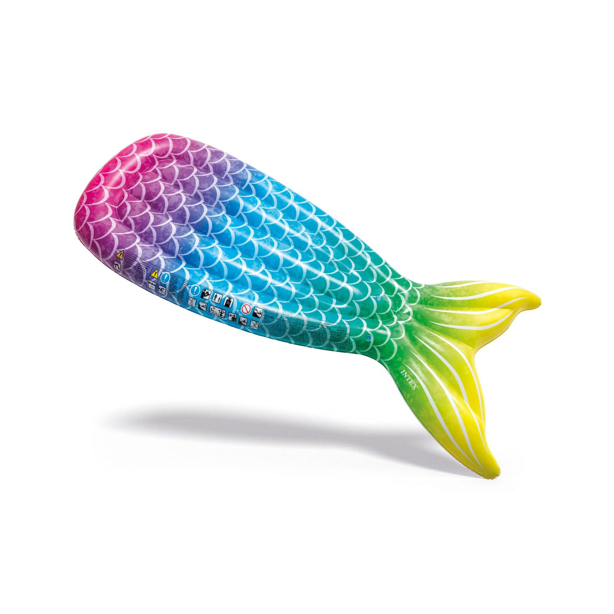 INTEX picture