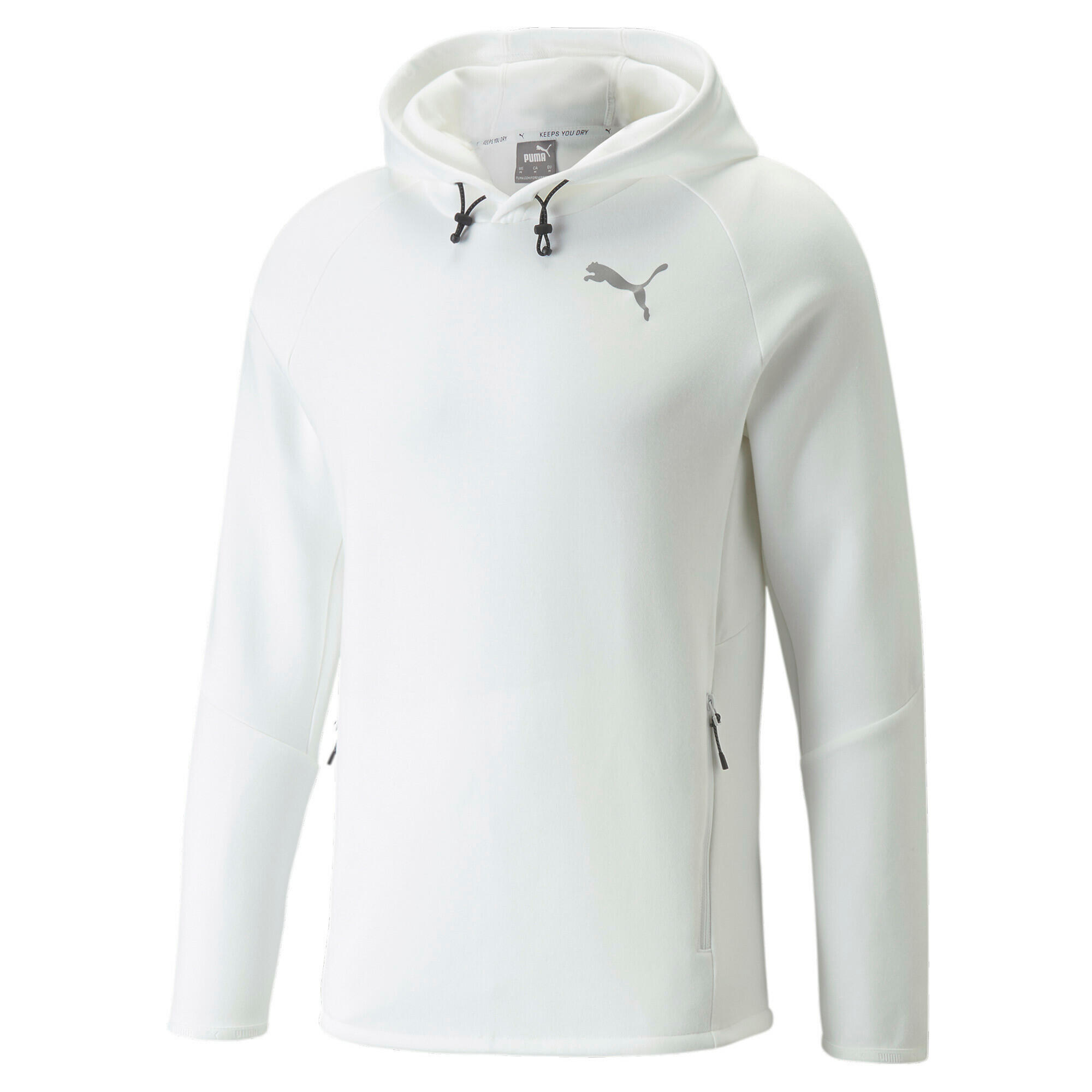 PUMA picture