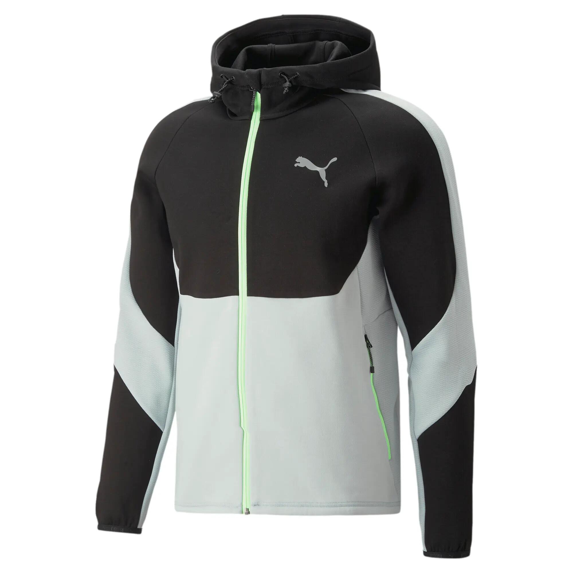 PUMA picture