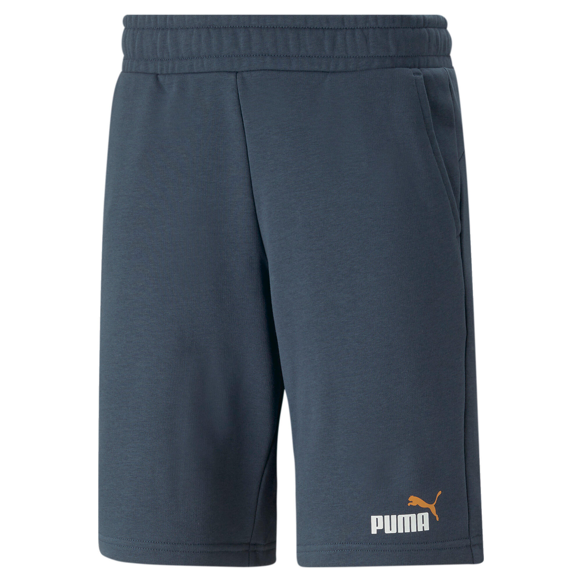 PUMA picture