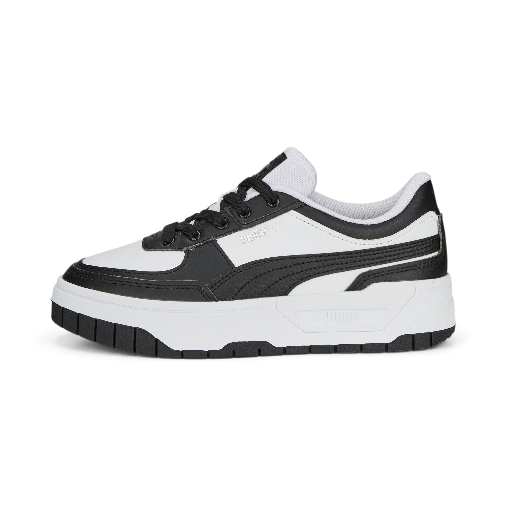 PUMA picture