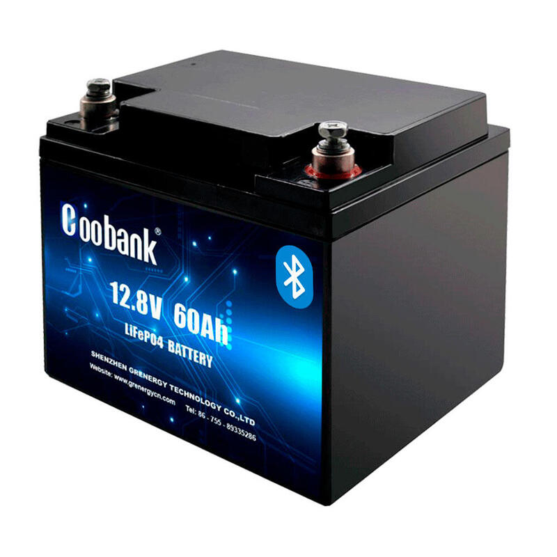 Bateria Litio LiFePO4 60Ah Coobank 12.8V Bluetooth BMS