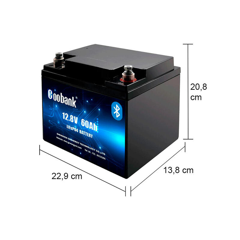 Batería Litio LiFePO4 60Ah Coobank 12.8V Bluetooth BMS