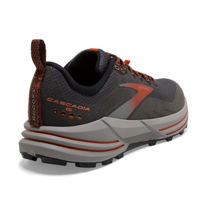 Hardloopschoenen Mannelijk Cascadia 16 Gore-Tex Brooks