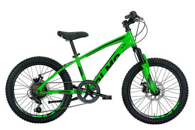 Mountainbike 20 Zoll Demonte. grün