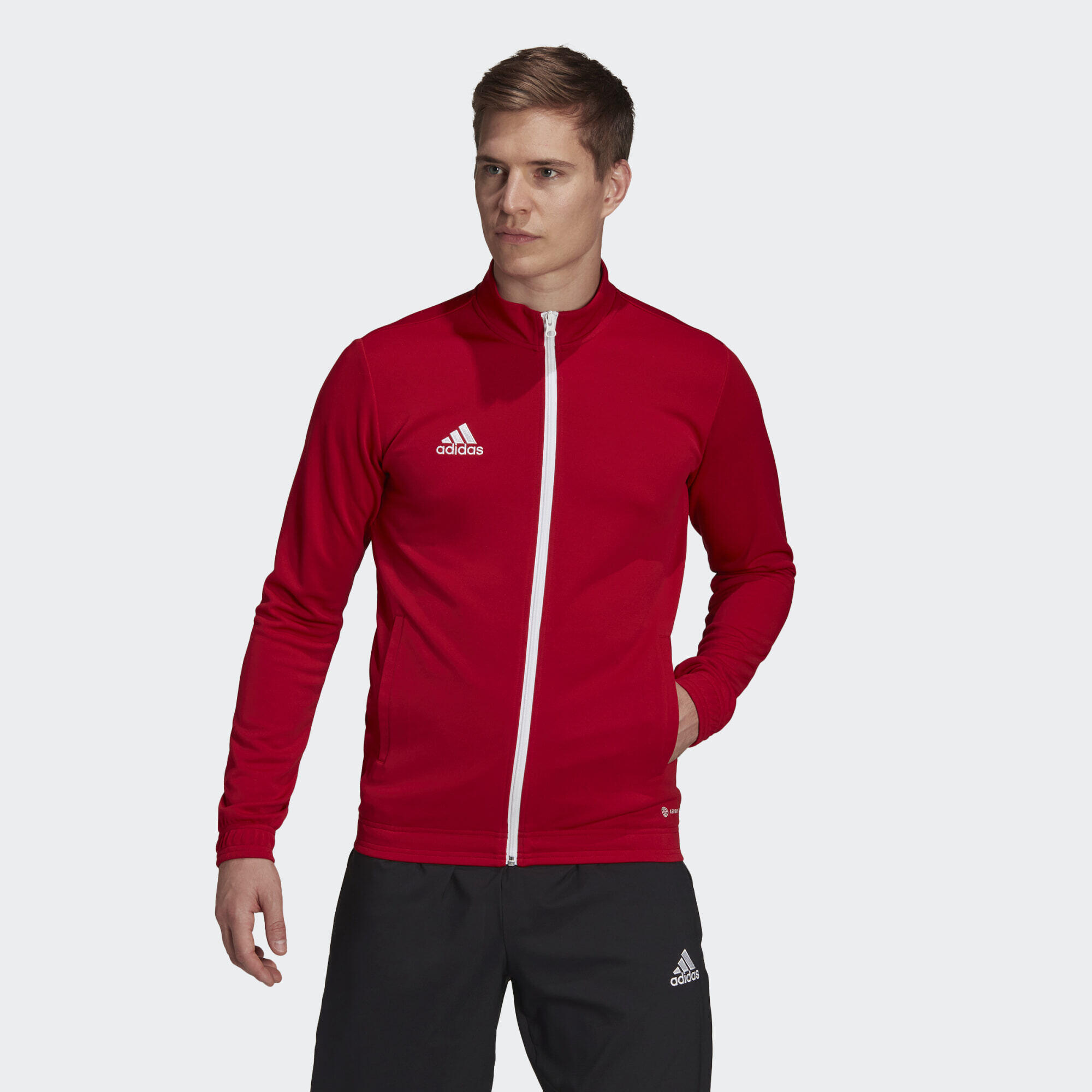 Veste De Survêtement Entrada 22