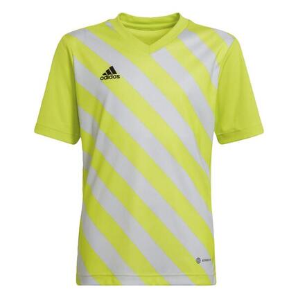 Entrada 22 Graphic Voetbalshirt
