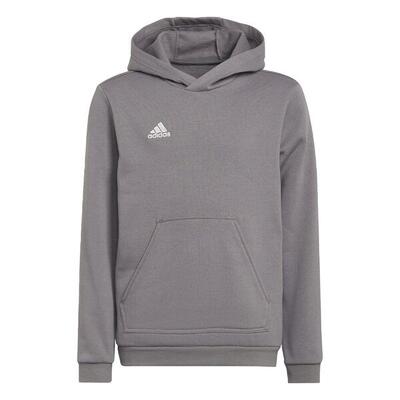 Kapuzenpullover Adidas Entrada 22 für unisex jungen