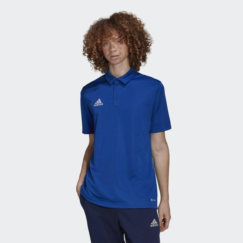 Koszulka polo do piłki nożnej męska Adidas Entrada 22 Polo z krótkim rękawem