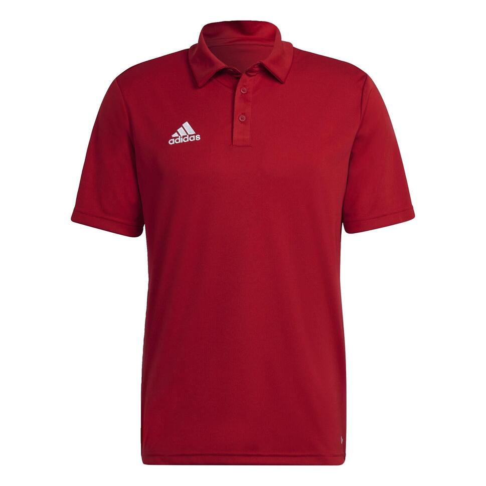 Koszulka polo do piłki nożnej męska Adidas Entrada 22 Polo z krótkim rękawem