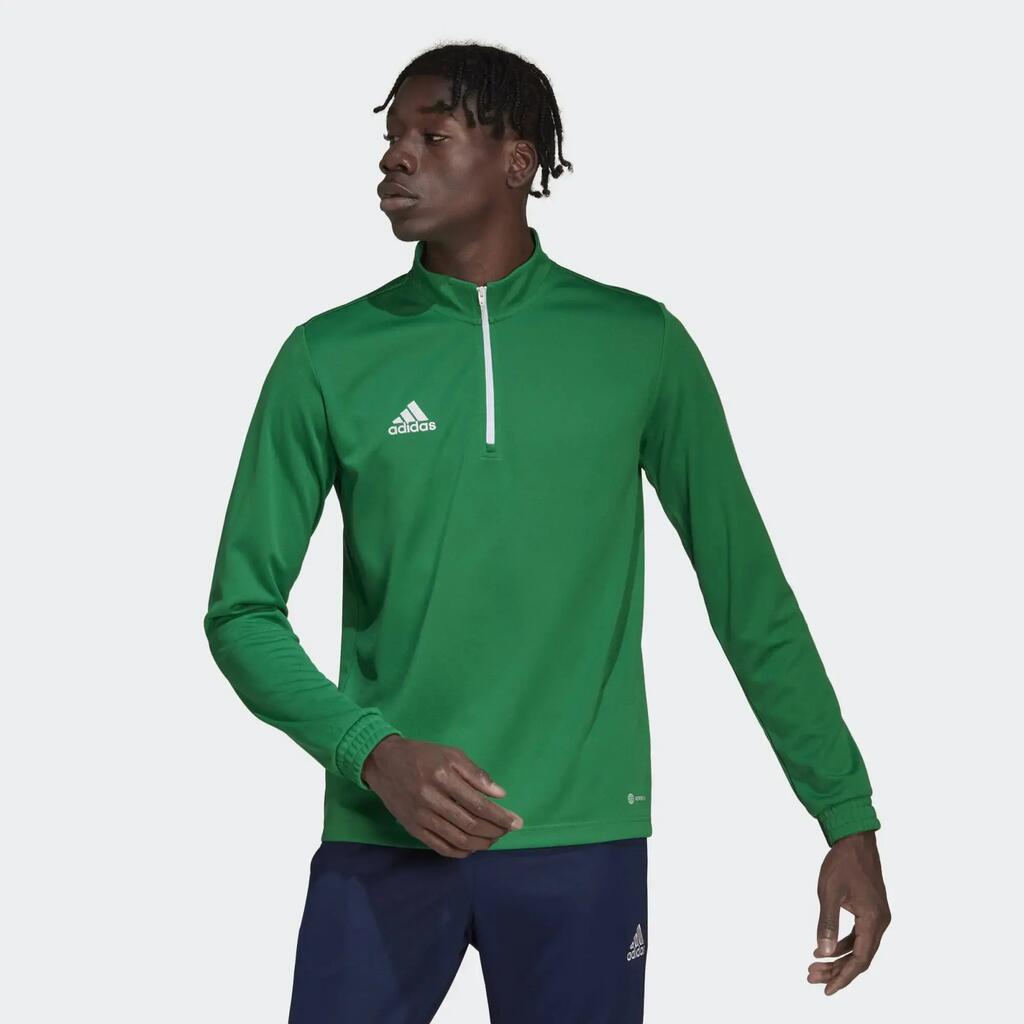 GREEN / WHITE