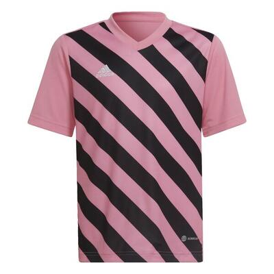 Entrada 22 Graphic Trikot