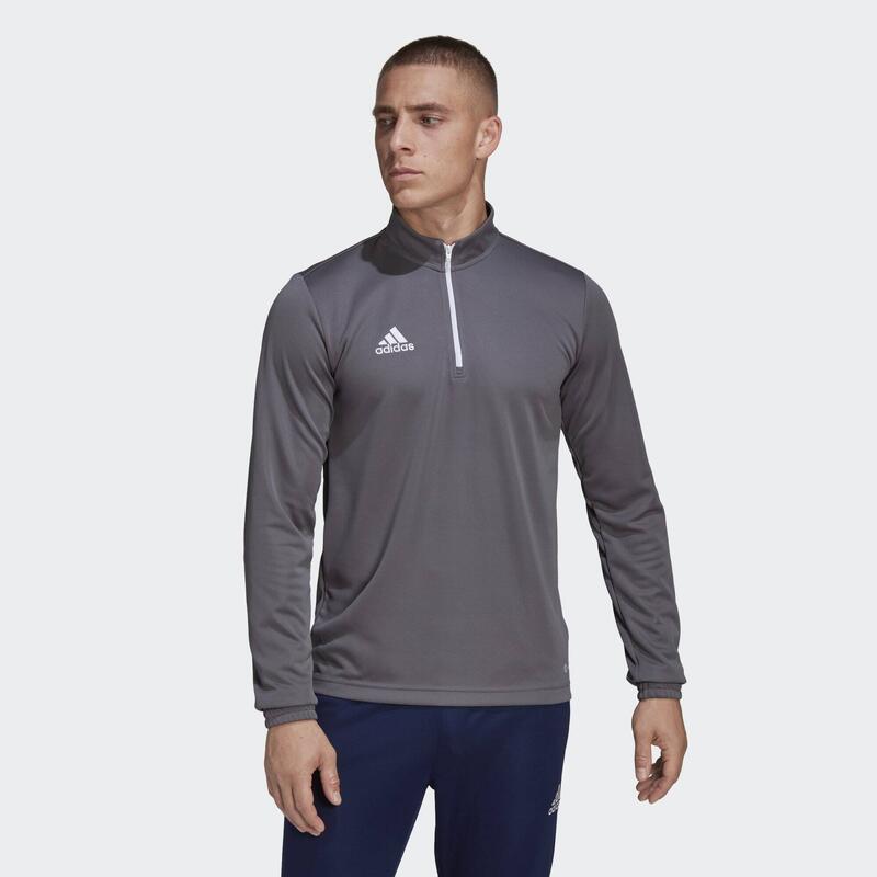 Hanorac ADIDAS Entrada Gri Bărbați