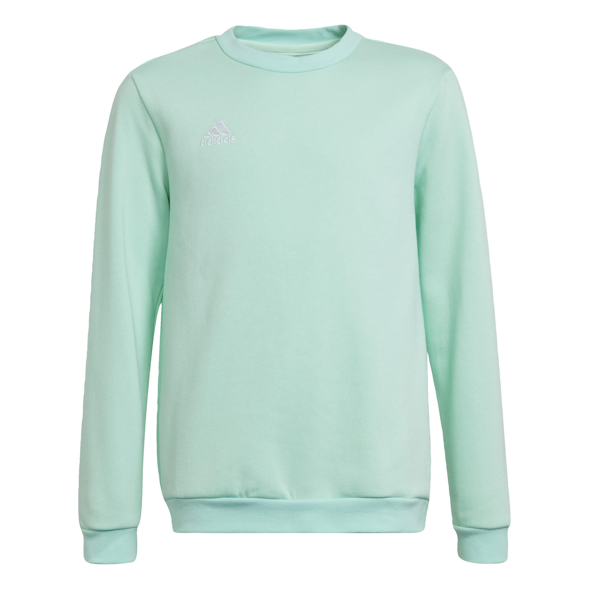 ADIDAS Entrada 22 Sweatshirt