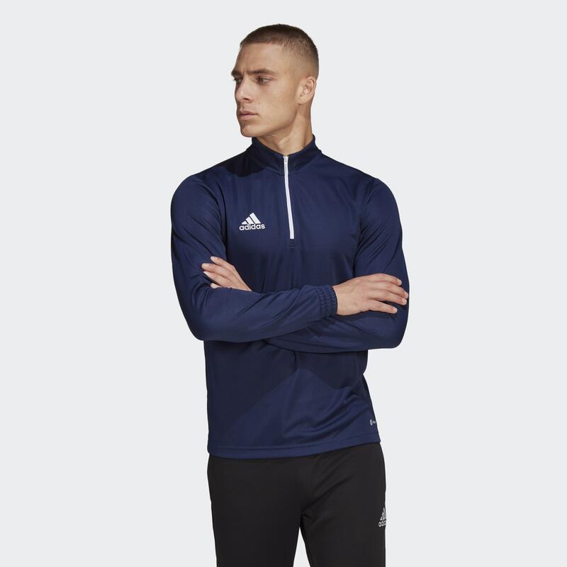 Sport felső adidas Entrada 22 Training Top, Kék, Férfiak