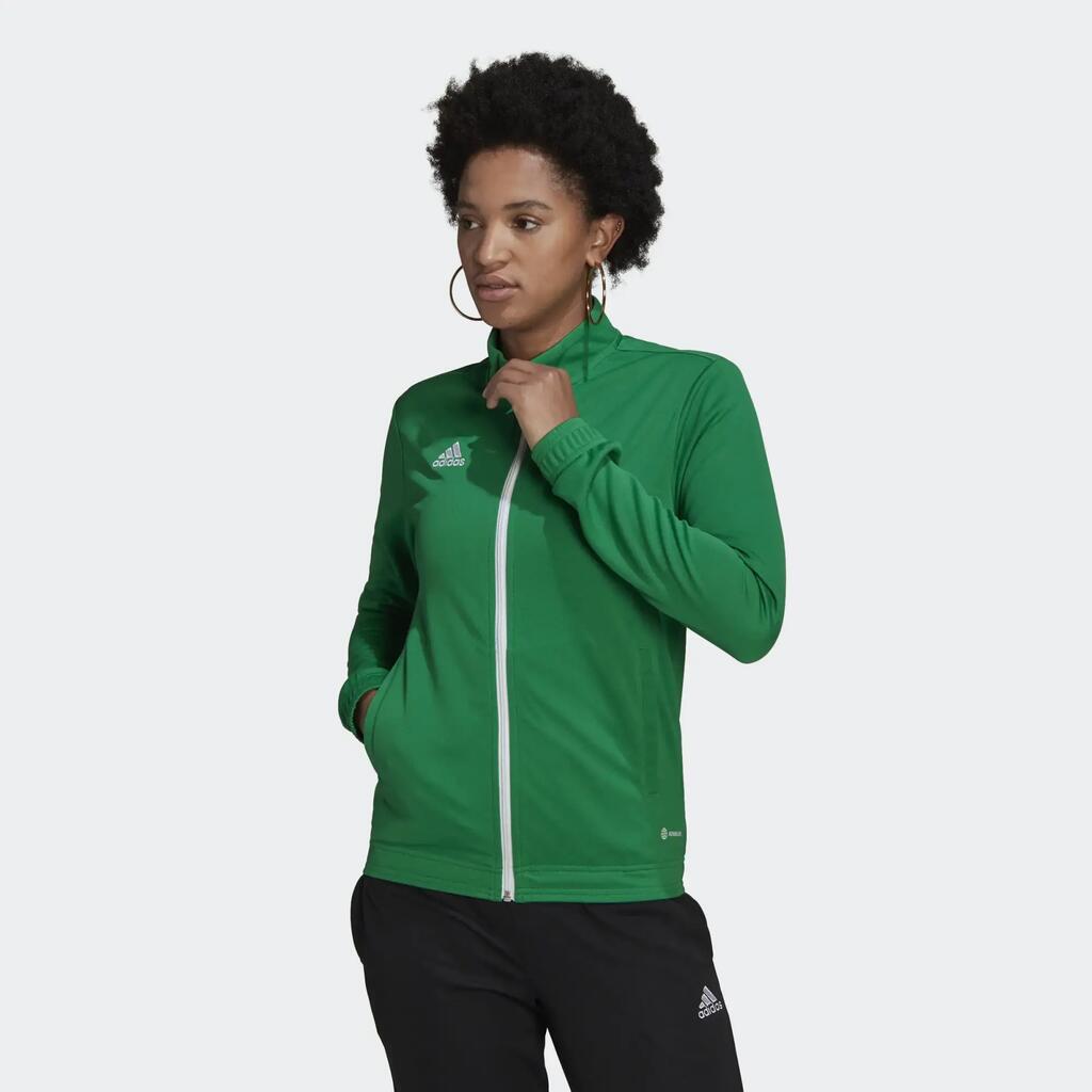 GREEN / WHITE