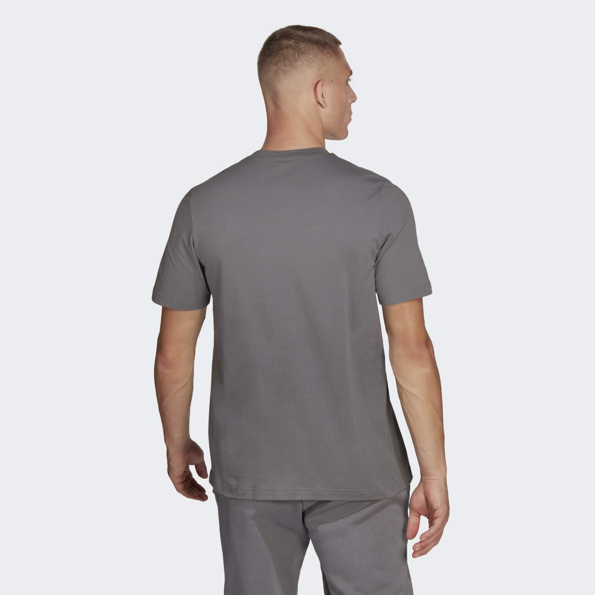 Camiseta Entrada 22 3/6