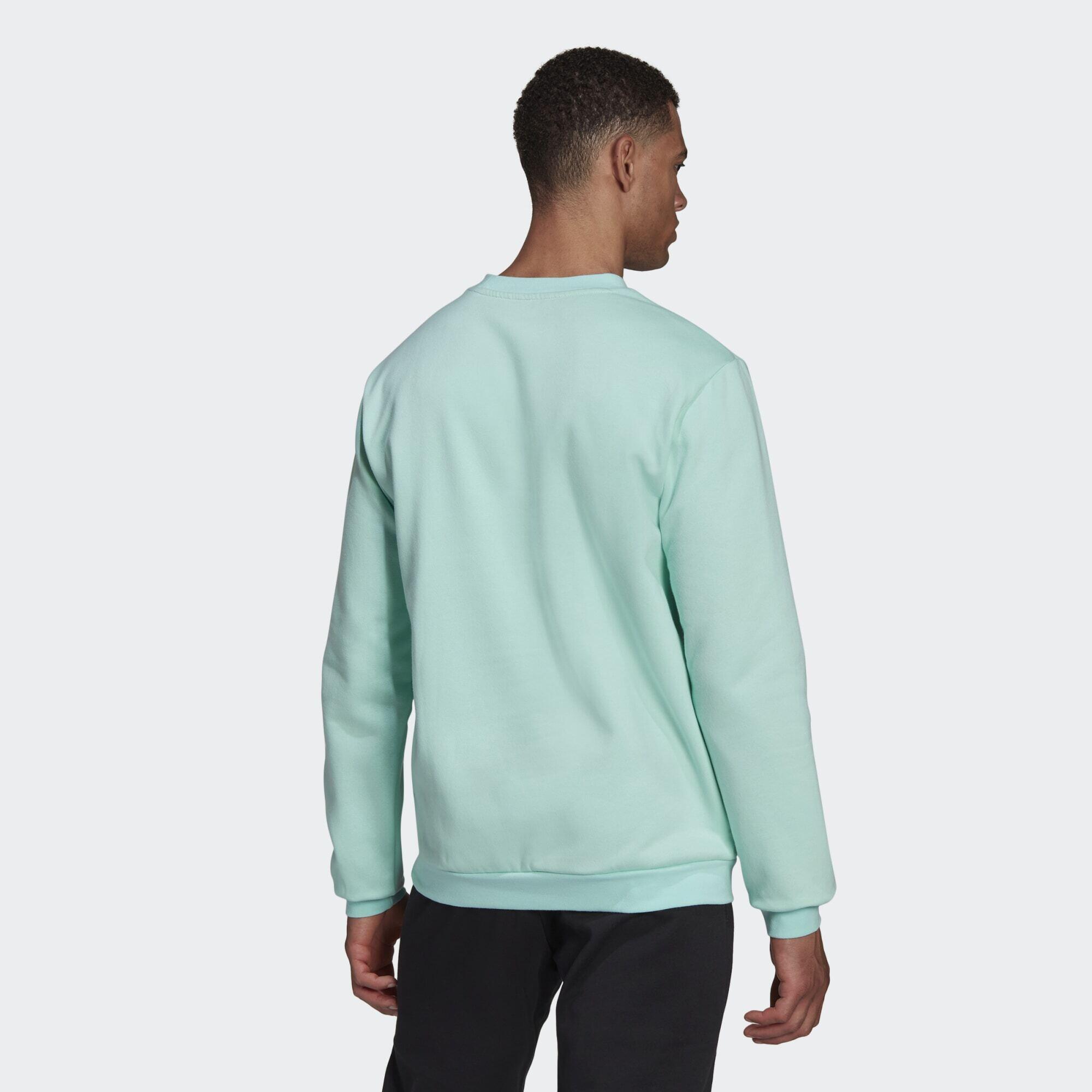 Sweat-shirt Entrada 22 3/5