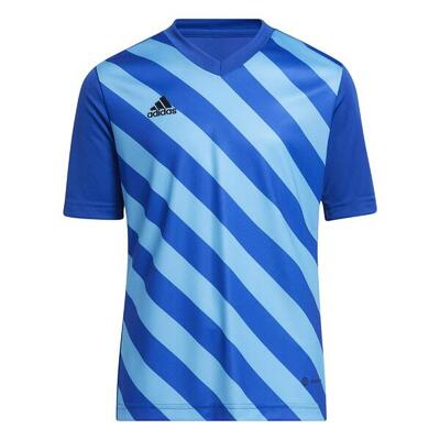 Entrada 22 Graphic Trikot