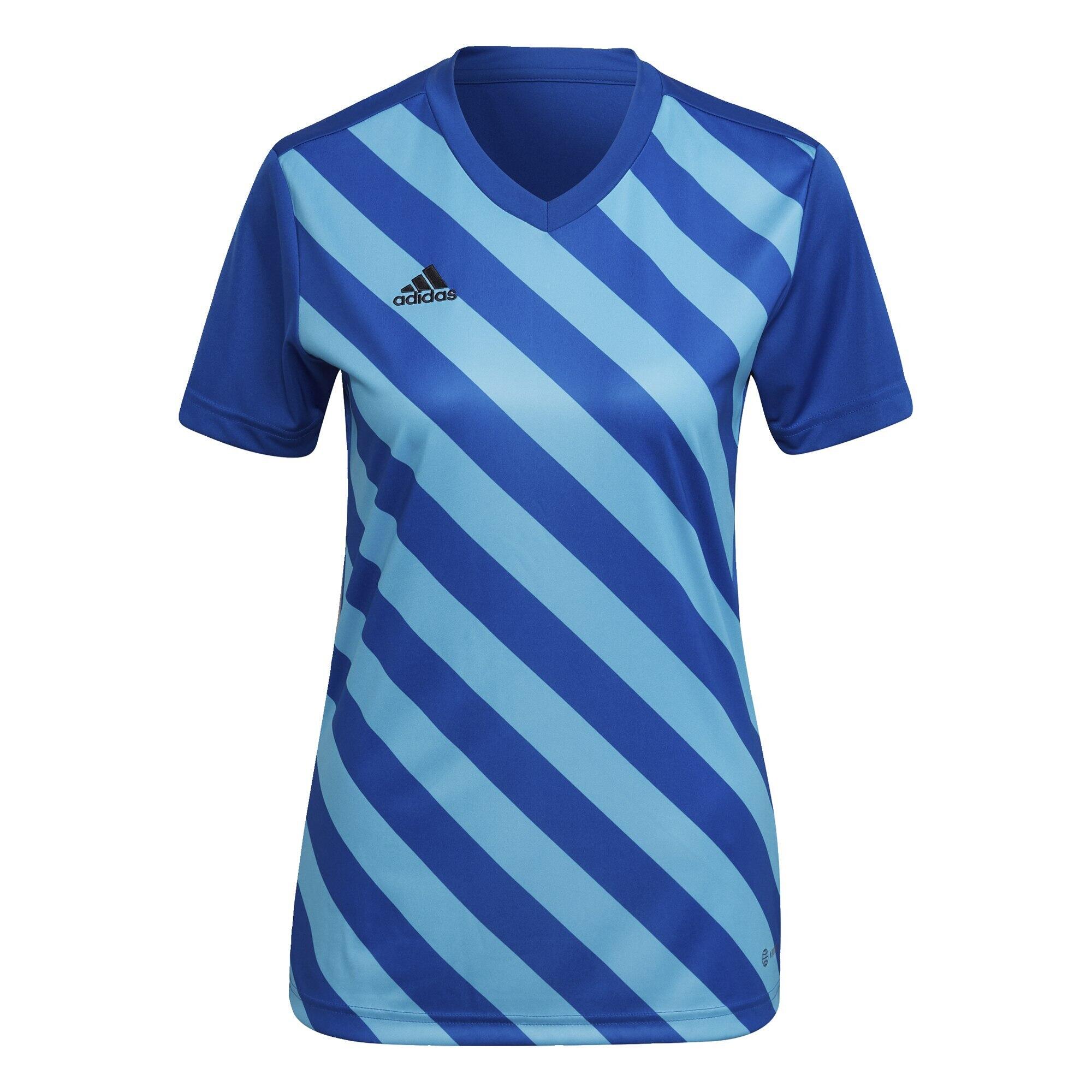 Camisola Entrada 22 2/6