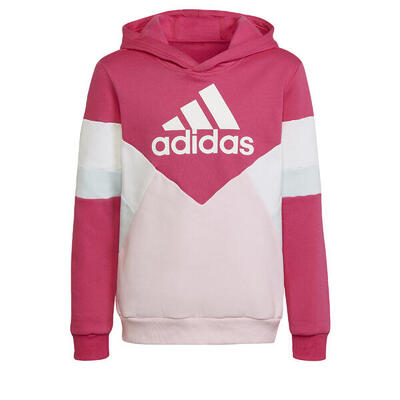 Colorblock fleece hoodie
