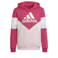 Sweat-shirt à capuche Colorblock Fleece