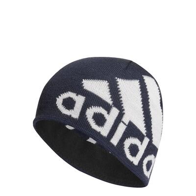 Aeroready big logo beanie